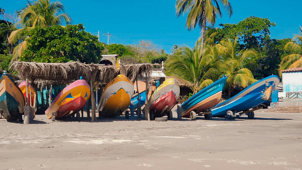 margarita-cisneros-q3dMYgtJPzo-unsplash (1).jpg