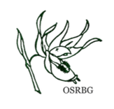 OSRBG Logo_edited.png