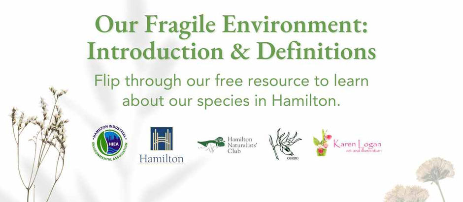 Introduction and Definitions: Understanding Hamilton’s Biodiversity