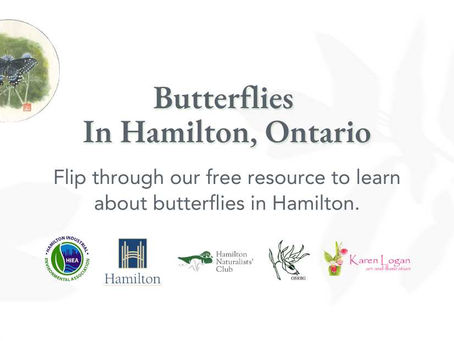 Butterflies Found in Hamilton Ontario