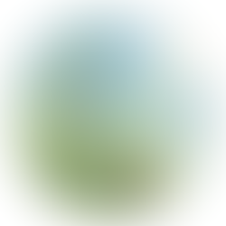 Northern Blue Cohosh – Caulophyllum giganteum