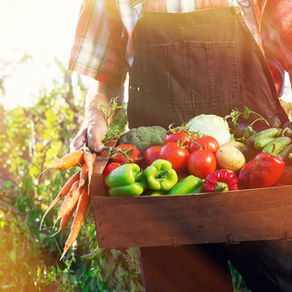 What does ORGANIC mean?