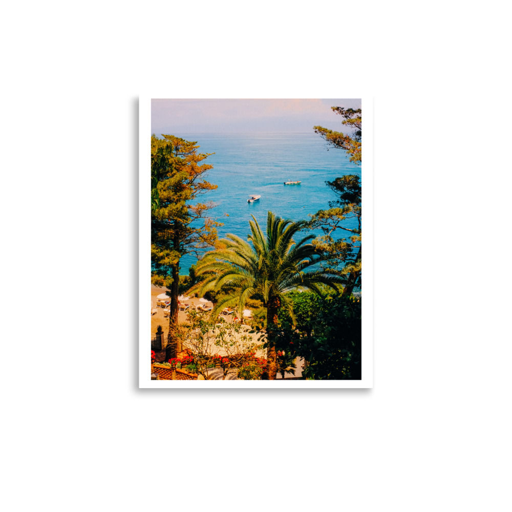 Taormina, Sicily Palms