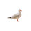 Thumbnail: Seagull Sticker