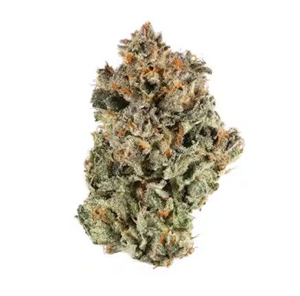 strain-22.jpg