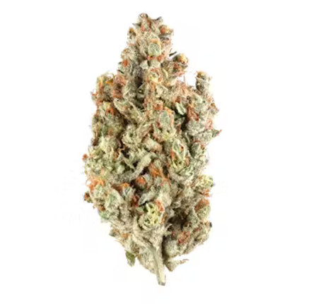 strain-6.jpg