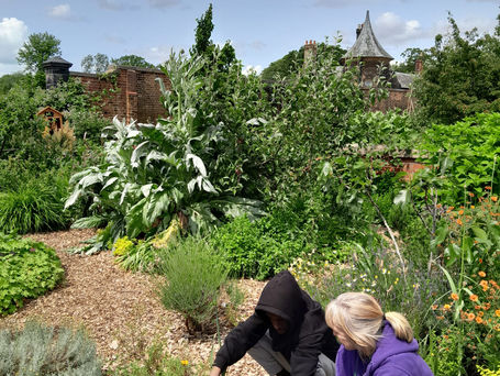Lifeskills visit to RHS Bridgewater