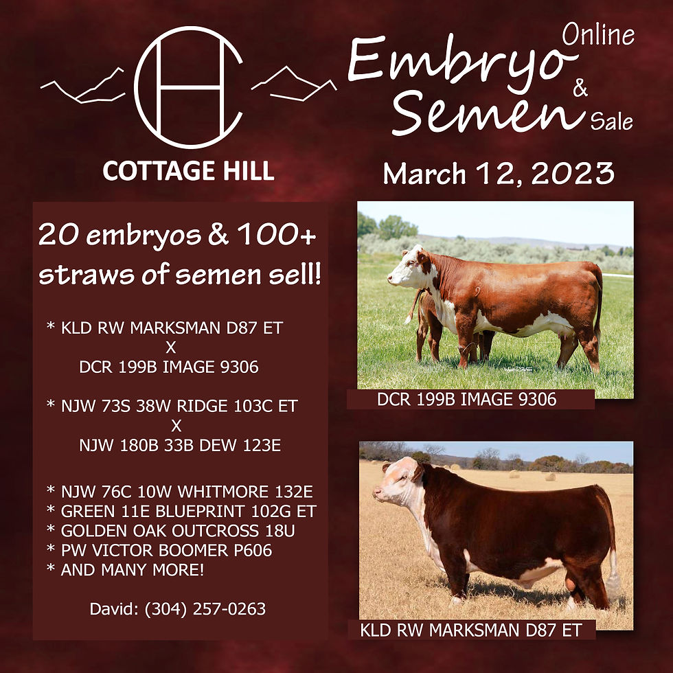 What Makes a Good Livestock Sale Advertisement Design?