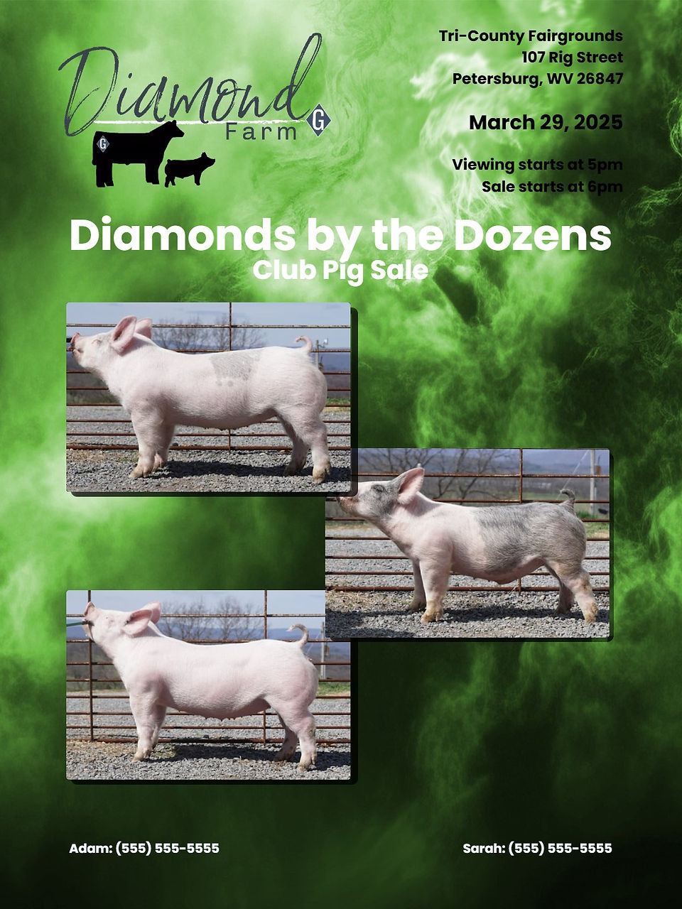 pig sale ad