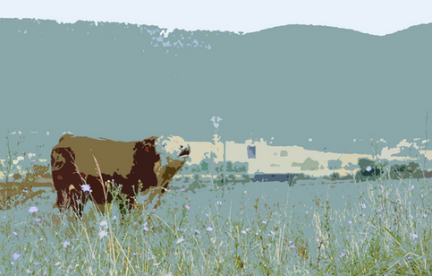 The Whitmore Hereford Bull with a mountain background.