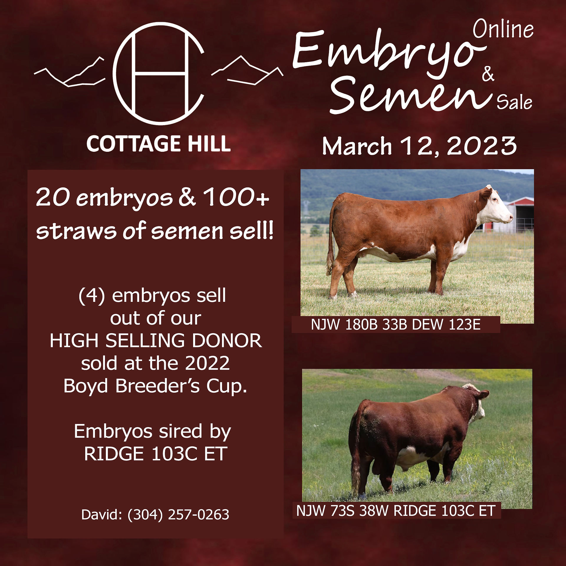 Cottage Hill Online Sale Ad Example 2