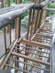 IMG-20200627-WA0041.jpg