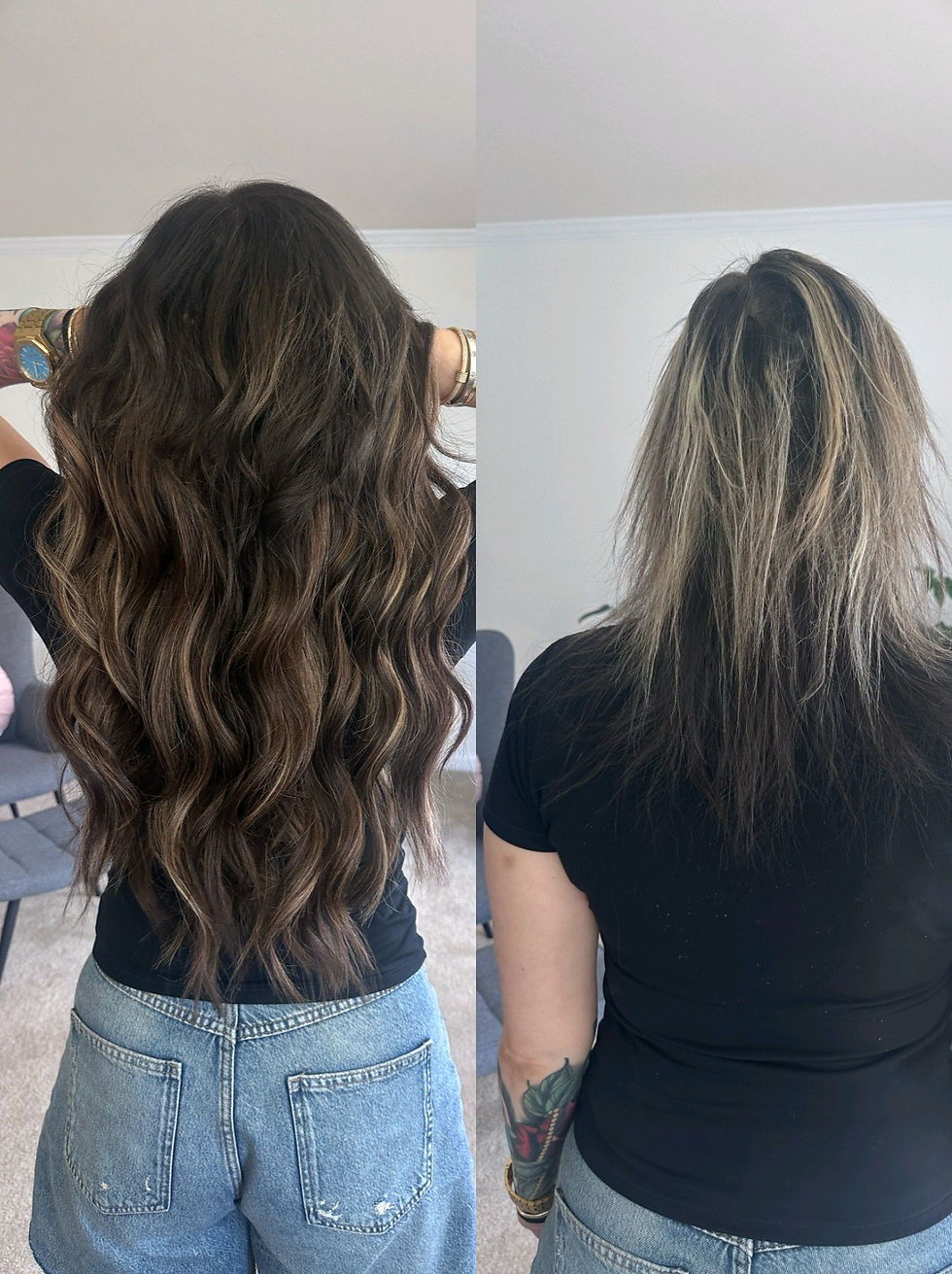 Partial mesh integration back view before and after, Clarksburg MD