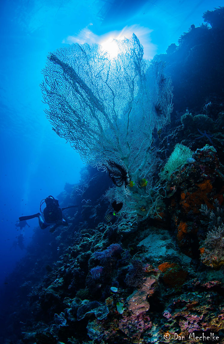 2024Philippines164 (1 of 1).jpg