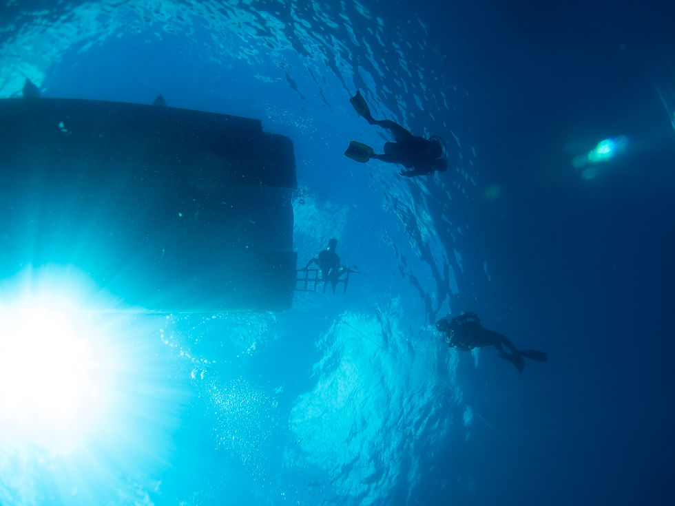 bottom-dive-boat-divers (1).jpg