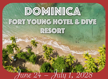 DOMINICA2028POSTCARD.jpg