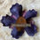 Thumbnail: Hand Sculpted Leather Hair Flower