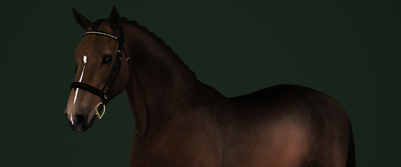 Placeholder.png