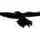 Thumbnail: Soaring Raven, Mystical Raven, Occult Symbolism, Pagan Life, Witchcraft, Wiccan