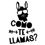 Thumbnail: What’s Your Name, Como Te Llamas, Llama Humor, Llamas Are Awesome, Llama Love