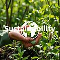 sustainability focus.jpg