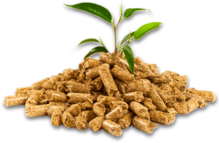 pellet