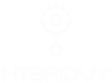 HybridUV-black-transparent_edited_edited