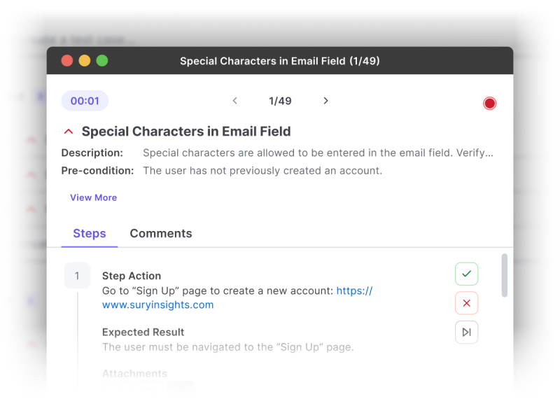 Test Case Execution