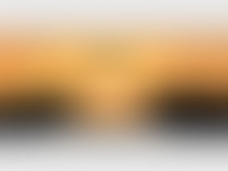 What to do during gap year