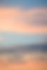 davies-designs-studio-q0VuRJvlOq4-unsplash.jpg