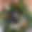 Thumbnail: Rustic Country Music Magnolia Wreath