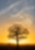 AdobeStock_481406317.jpeg
