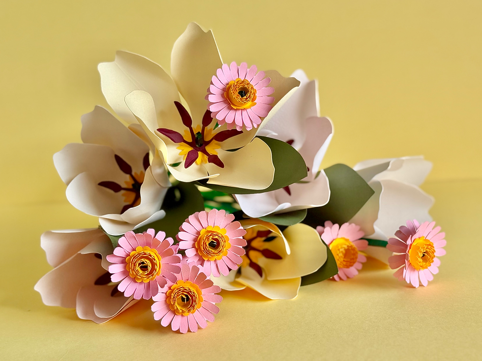 Miniature : KIT 3 Marguerites roses