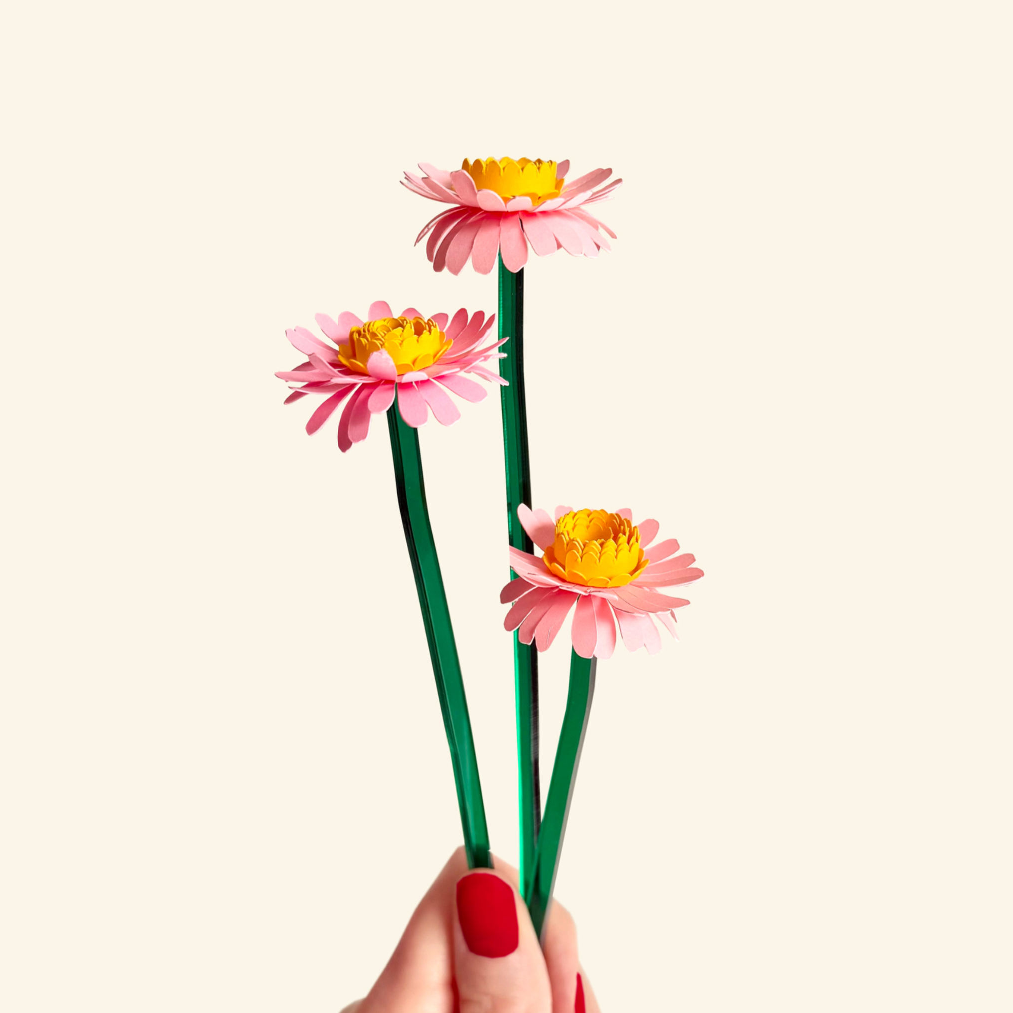 KIT 3 Marguerites roses