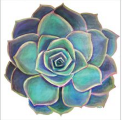 74185546_2472875222984134_573949321716695040_n