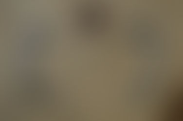 1629 Map of Morley St Botolph