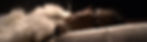 Spotify image.jpg