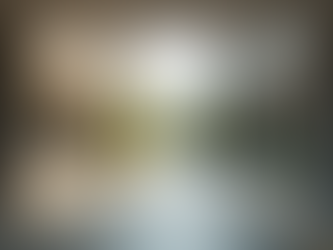 Examining the Targeting of Educational Institutions in Mass Shootings and Effective Prevention Strategies