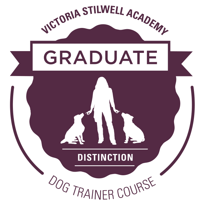 VSA_Graduate