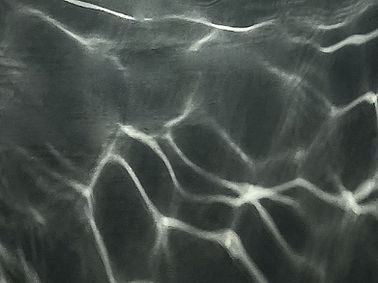 thumbnail_F48CC301-F891-4280-BCA5-9FDF29CB41FA.jpg