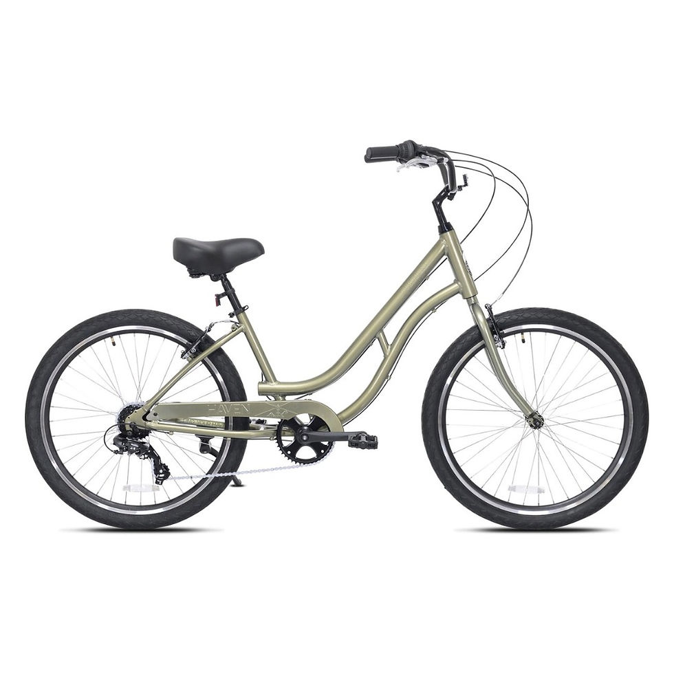 Rental bike ocean city new jersey
