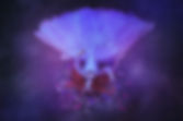 03-deathofastar.jpg