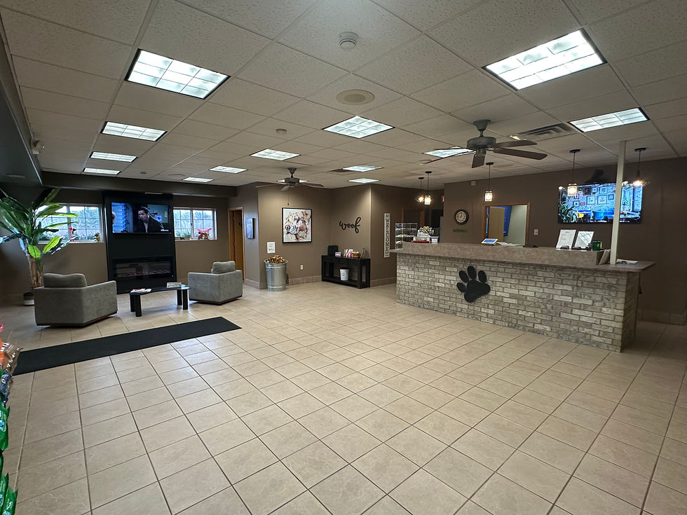 LOBBY 3.jpg