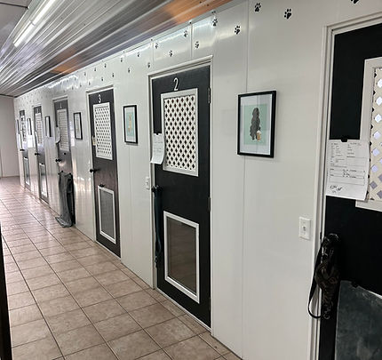 New Suites Picture.jpg