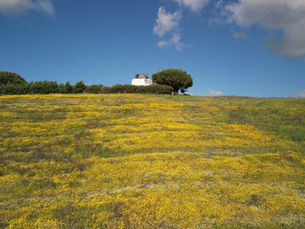 Plan Ahead: Join Our “Not So Serious”       Retreat This Spring