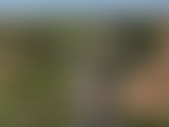 Birds eye view of Quinta Camarena