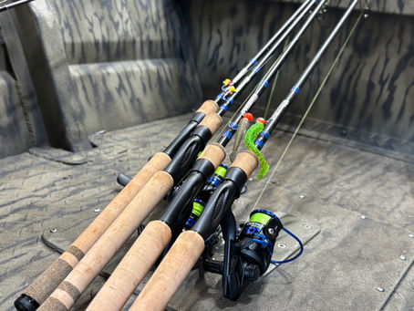Best Spinning Rods under $100?