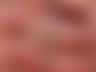 Our Sunday Visitor News on Former Saints and Scholars Fellow Claire Guernsey