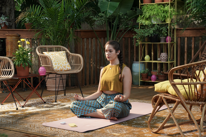 The Premise, _The Commentor_