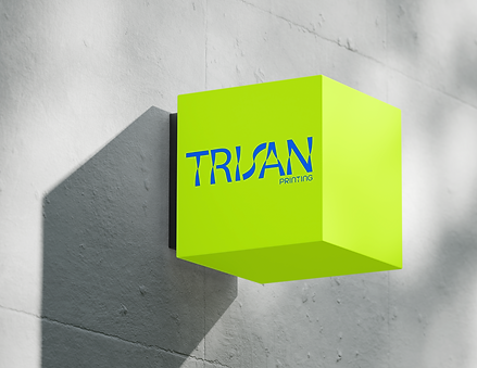 branding CI printing packaging logo brandbook character design